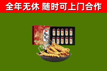 朔州烟酒回收冬虫夏草礼盒.jpg